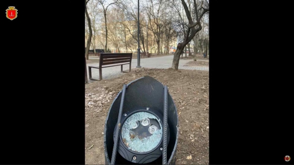 В Одессе вандалы повредили недавно установленную подсветку деревьев за 1,5 миллиона