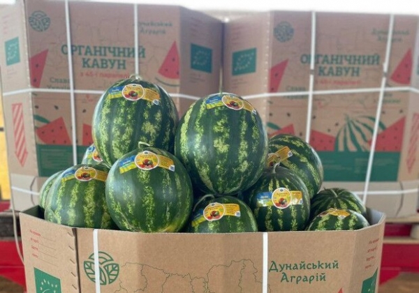 В Одессе начали продавать арбузы: цены