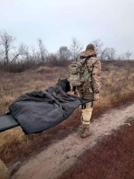 Пес-морпіх, якому довелося відгризти собі лапу, щоб втекти від бойовиків на Донбасі, проходить реабілітацію в Польщі