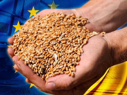 До схем з недоотриманням $ 140 млн податків зі схем з експортом зерна причетний Мінфін — ЦПК