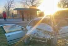 Смертельное ДТП в Одесском районе: виновник скрылся с места аварии